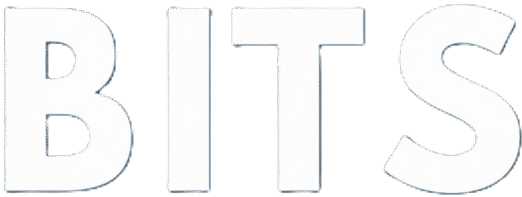 BITS Real Estate Brokers LLC